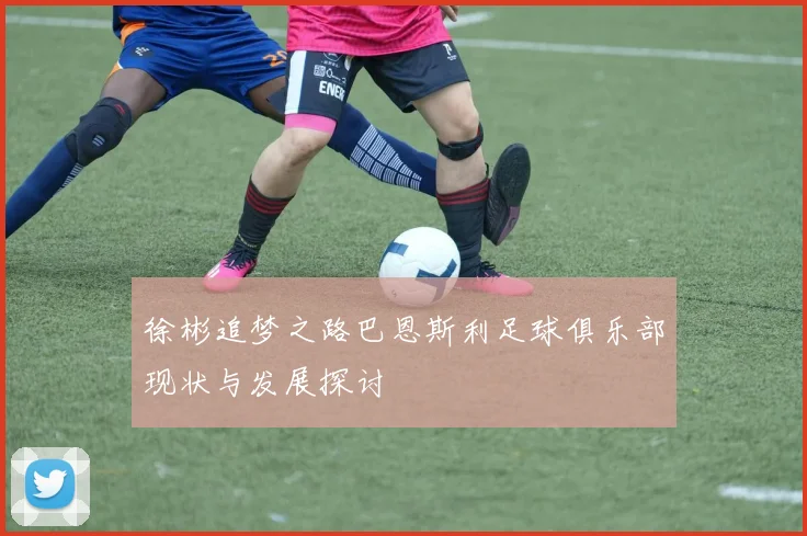 徐彬追梦之路巴恩斯利足球俱乐部现状与发展探讨
