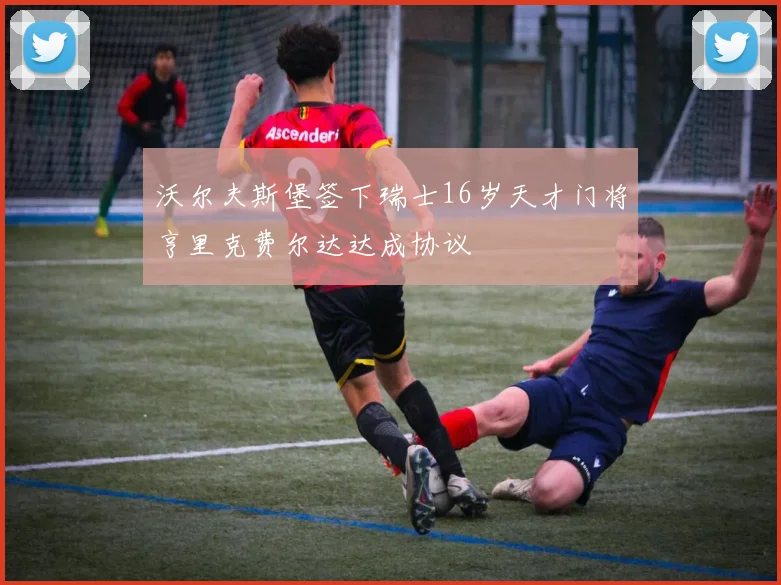 沃尔夫斯堡签下瑞士16岁天才门将亨里克费尔达达成协议