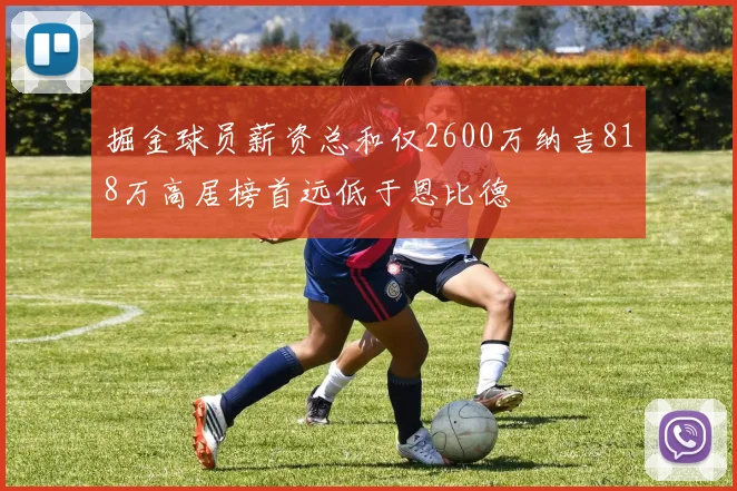 掘金球员薪资总和仅2600万纳吉818万高居榜首远低于恩比德