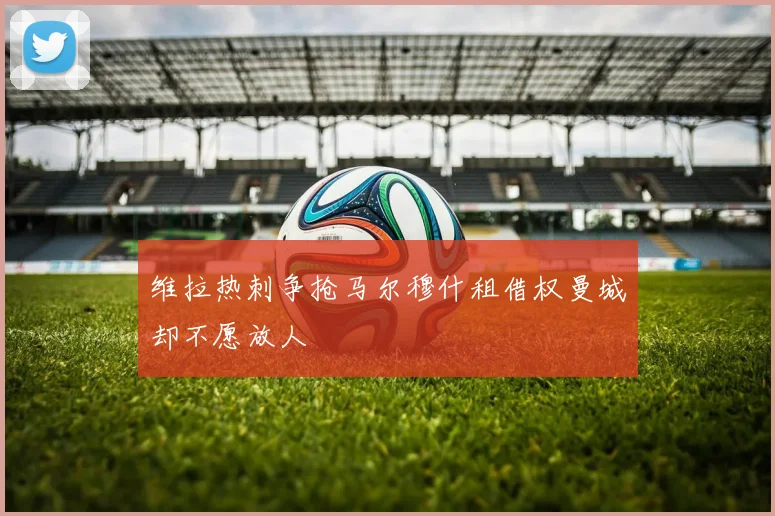 维拉热刺争抢马尔穆什租借权曼城却不愿放人